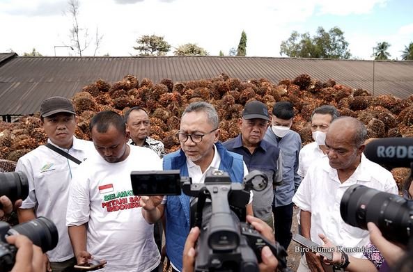 Mendag Zulhas Petani Sawit