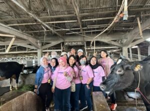 Goodyear UMKM Sapi Perah