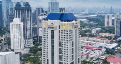 Fitch Bank Mandiri BBB