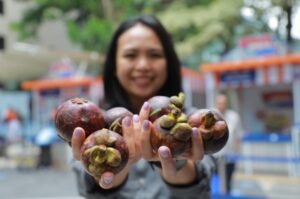 BRI Klaster Manggis Bali