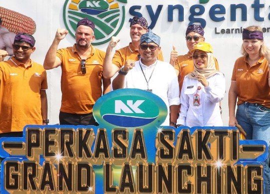 Syngenta NK Perkasa Sakti