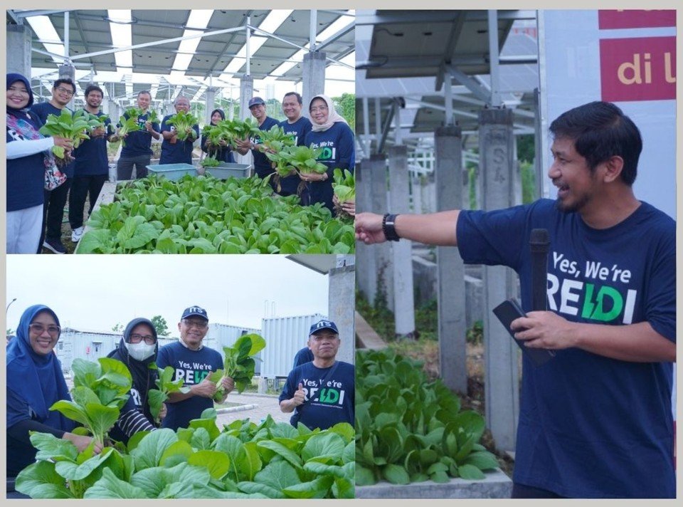 Panen Raya Smart Agrivoltaic ITS