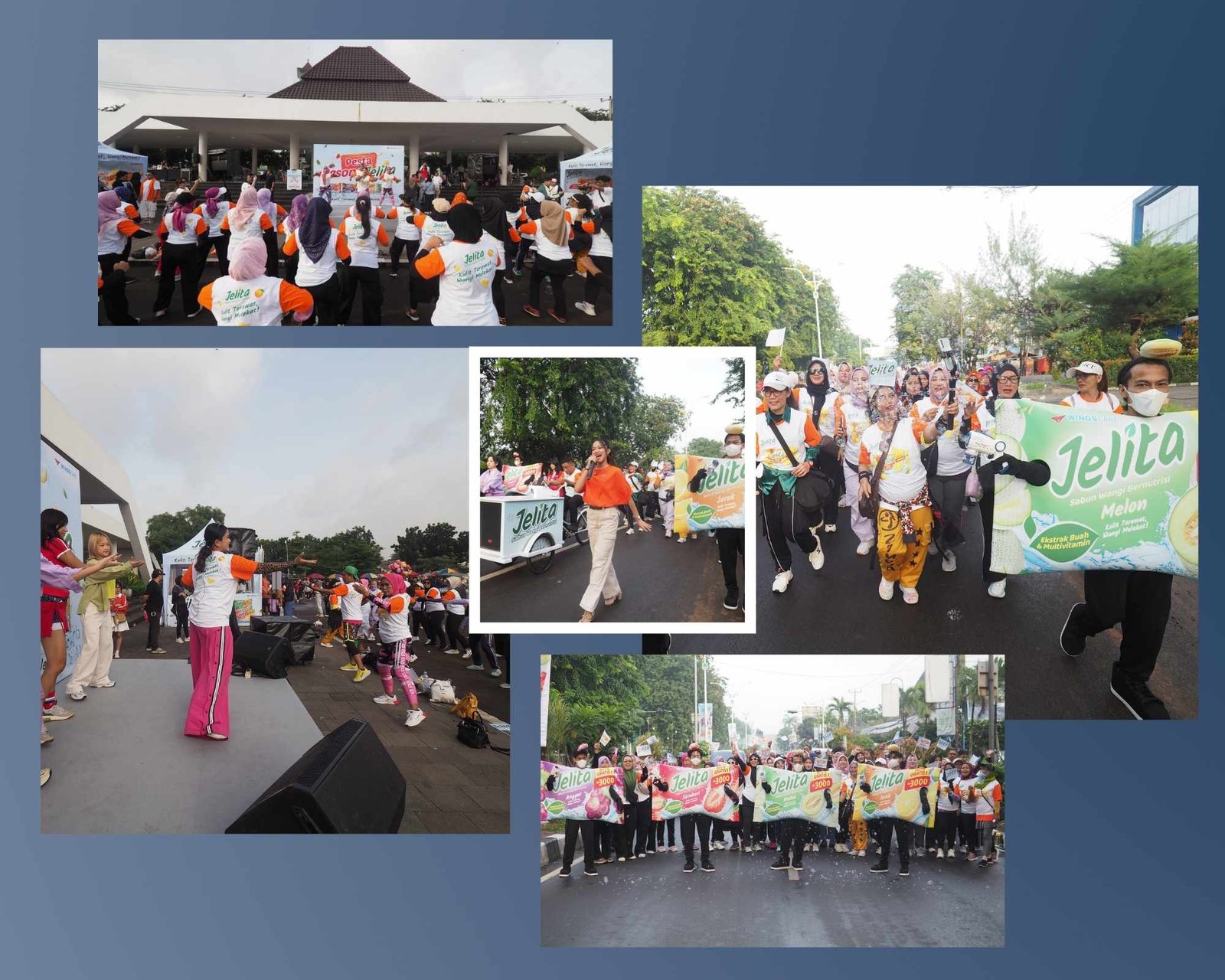 Sabun Jelita Wings Care