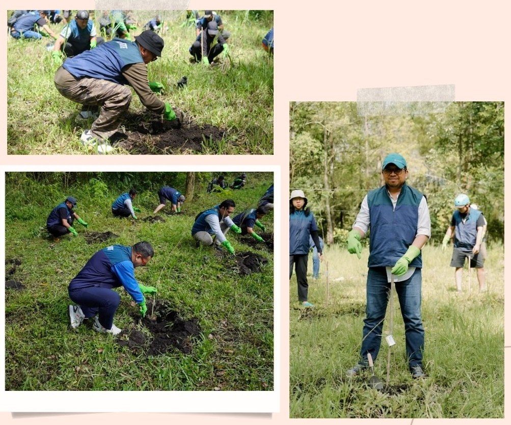 PT Terminal Petikemas Surabaya Coban Talun Pinus 