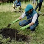 PT Terminal Petikemas Surabaya Coban Talun Pinus