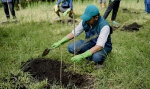 PT Terminal Petikemas Surabaya Coban Talun Pinus
