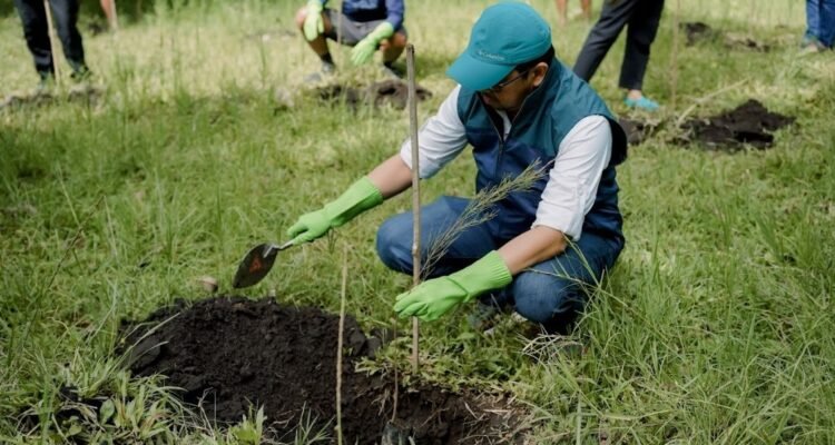 PT Terminal Petikemas Surabaya Coban Talun Pinus
