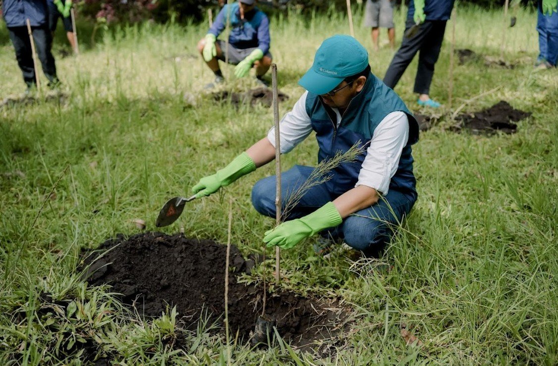 PT Terminal Petikemas Surabaya Coban Talun Pinus