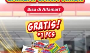 Pajak Kendaraan Alfamart Mie Sedaap
