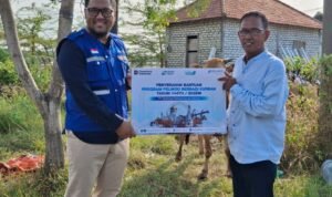 TPS Kurban Idul Adha