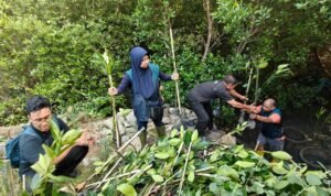TPS Mangrove