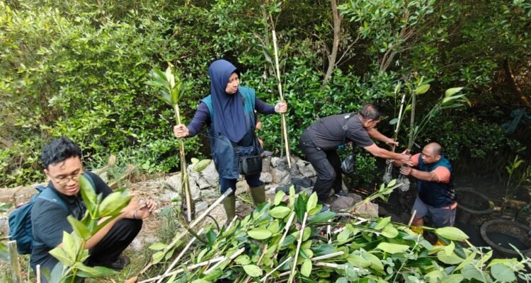 TPS Mangrove