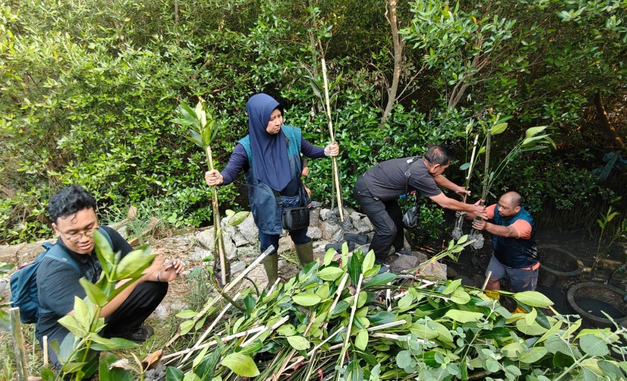 TPS Mangrove