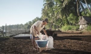 Garam desa Astra Haijatim Garam Bali Ekonomi Desa Mandiri