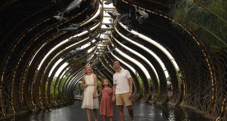 Marine Safari Bali